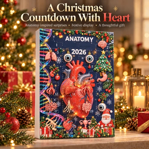 🎄 Anatomy Christmas Advent Calendar – Unique Organ-Shaped Ornaments & Holiday Surprises for Nurses, Medical Students & Science Lovers !!!🎁