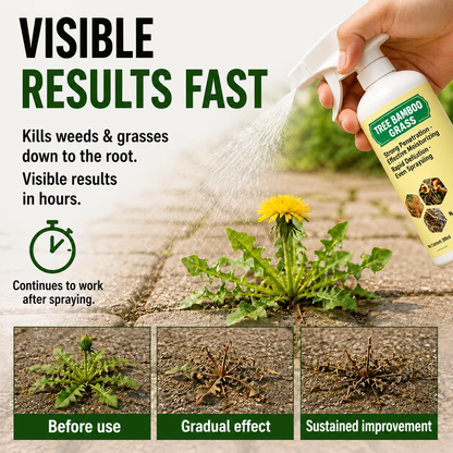 🔥2026 SALE - Fast-Acting Natural Weed & Grass Killer Spray