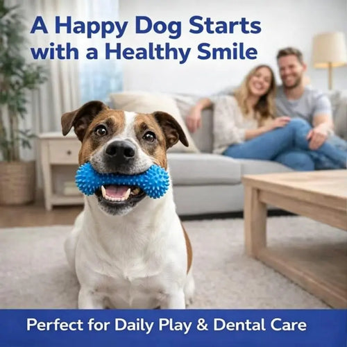 🐶🦷Adjustable collar dog dental chew - for cleaning teeth