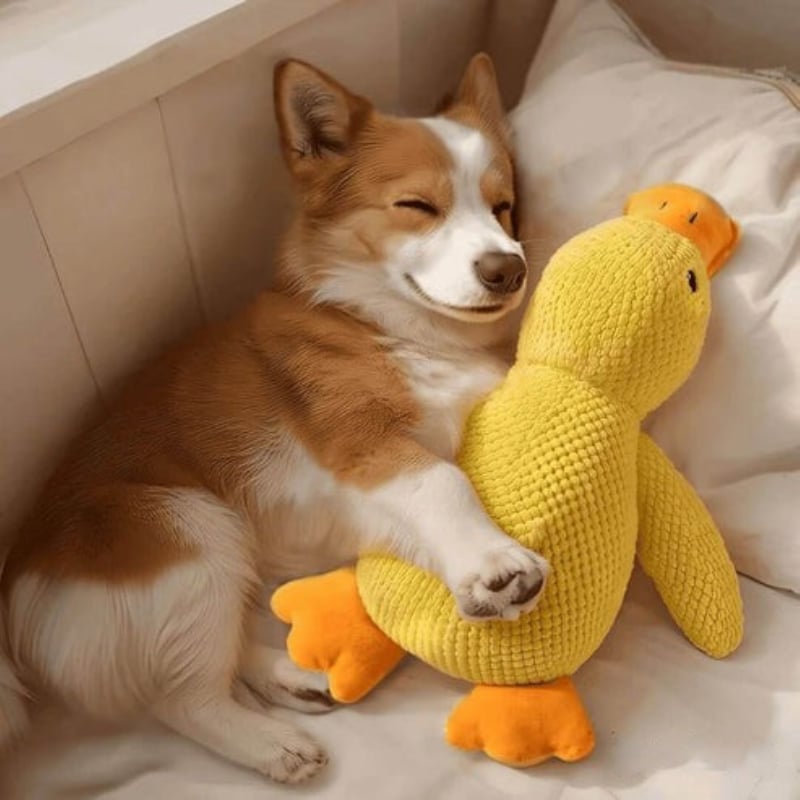Quacking Crinkle Duck Comfort Calming Toy for Dog Separation Anxiety Proper Relief