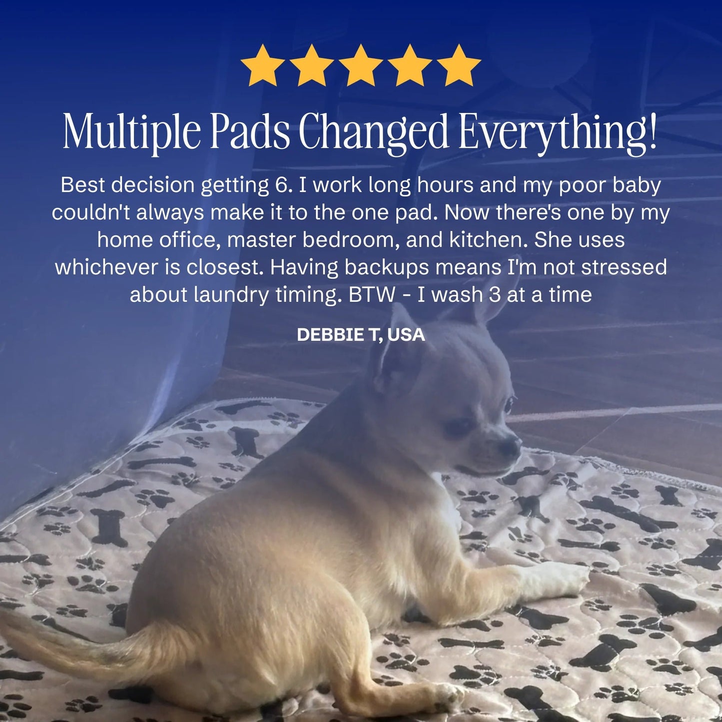 🐕stylish, super absorbent & reusable for a cleaner home🔔