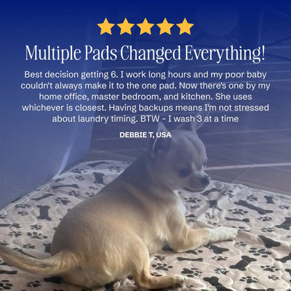 🐕stylish, super absorbent & reusable for a cleaner home🔔