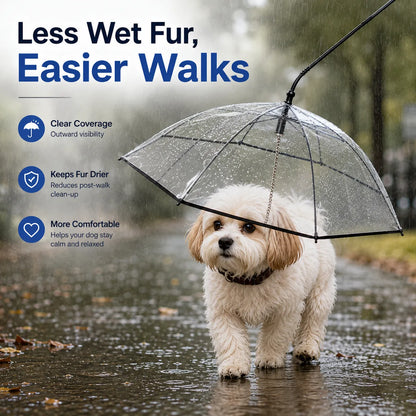 ☔ Transparent Dog Umbrella For Rainy Walks