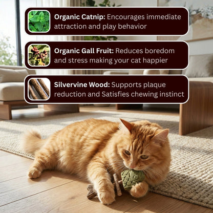 🔥Catnip & Silvervine Chew