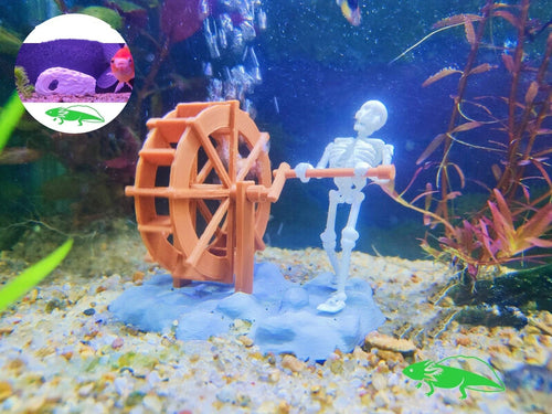 🐟✨Dynamic Aquarium Skeleton