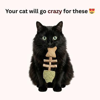 🔥Catnip & Silvervine Chew