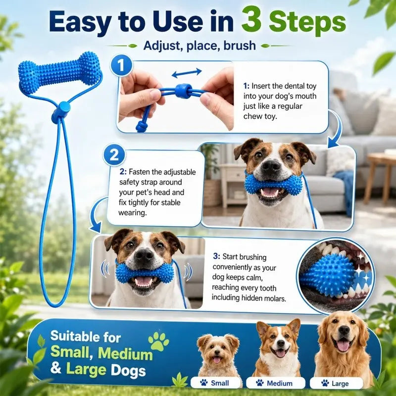 🐶🦷Adjustable collar dog dental chew - for cleaning teeth