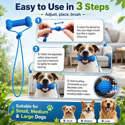 🐶🦷Adjustable collar dog dental chew - for cleaning teeth