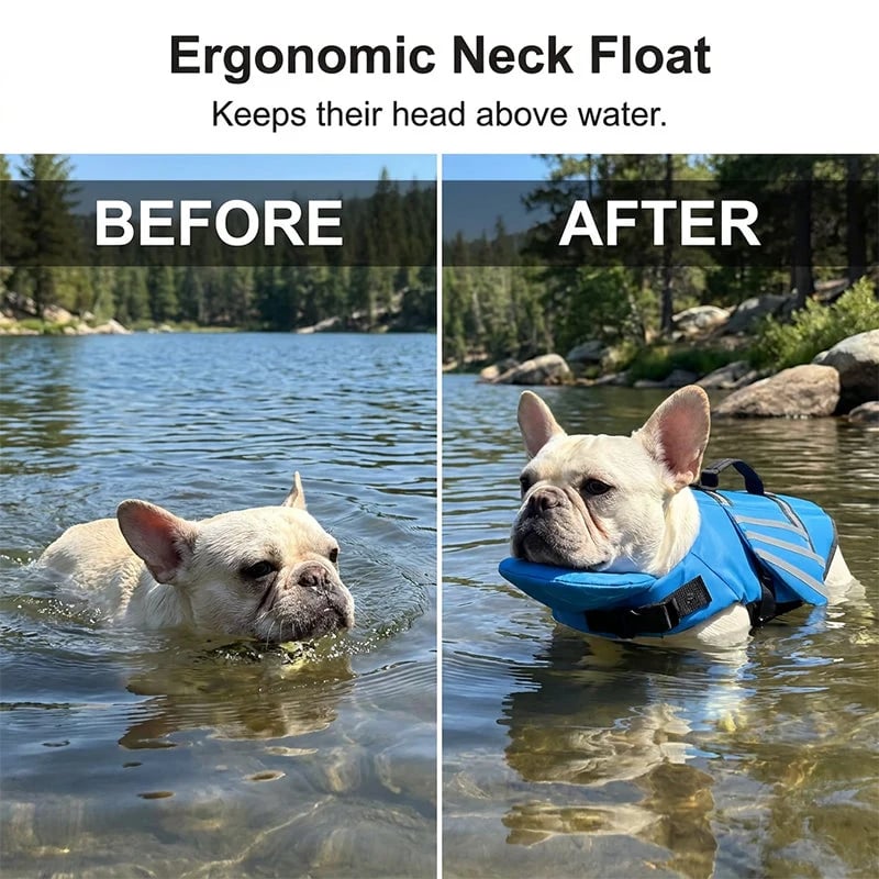 🥳2026 HOT SALE🐕👼 Reflective Angel Wing Dog Life Jacket – High‐buoyancy, quick‐rescue handle & breathable mesh. Reflective strips for evening swims🌊