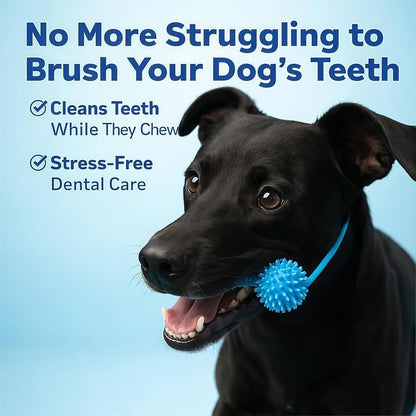 🐶🦷Adjustable collar dog dental chew - for cleaning teeth