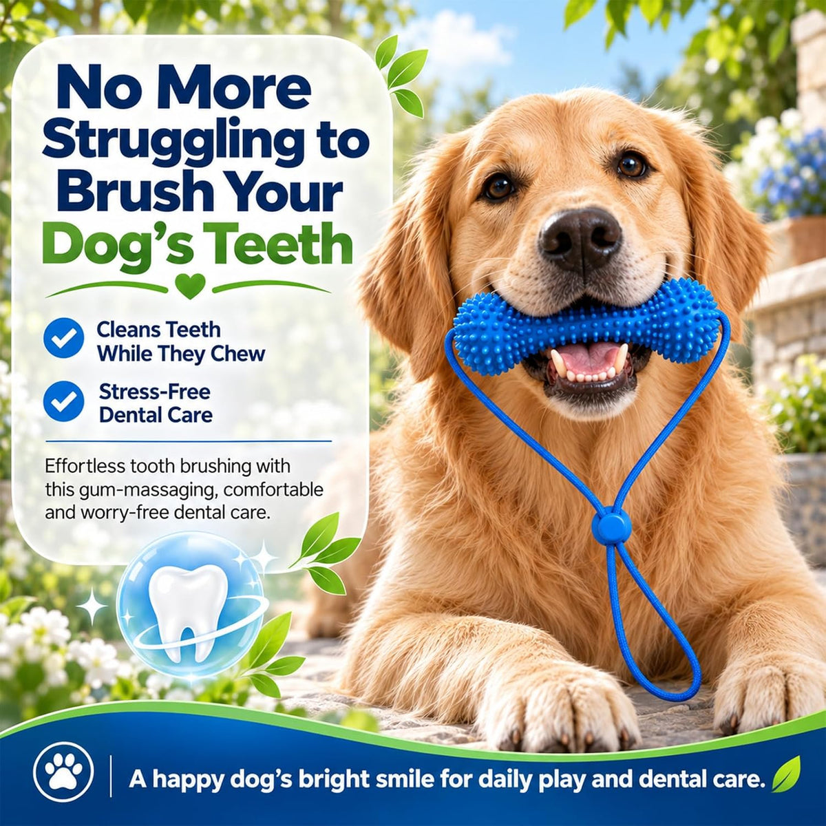 🐶🦷Adjustable collar dog dental chew - for cleaning teeth