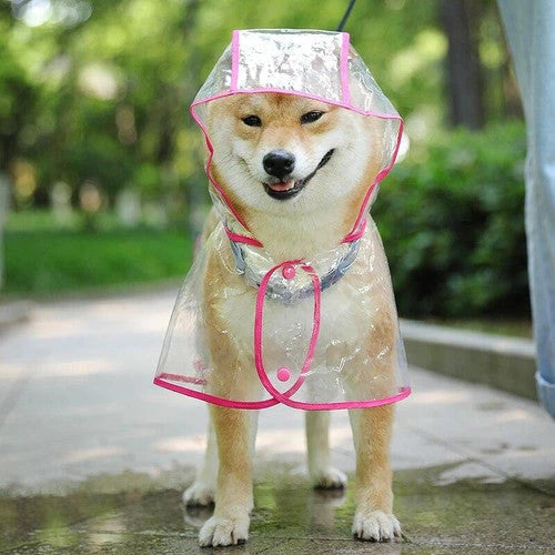 🌧️ Clear Dog Raincoat