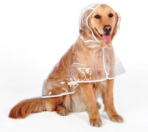 🌧️ Clear Dog Raincoat