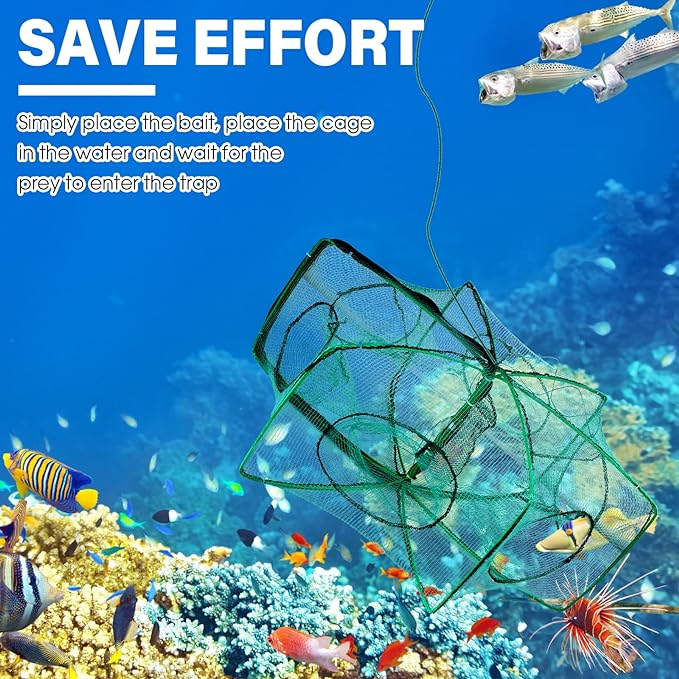🐟The Magic Foldable Fishing Trap🎣
