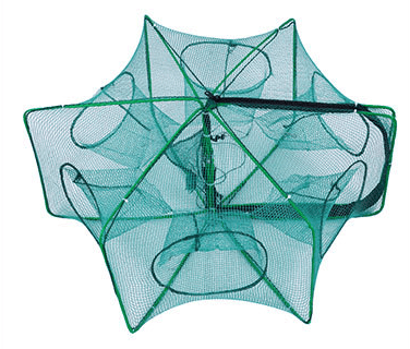 🐟The Magic Foldable Fishing Trap🎣