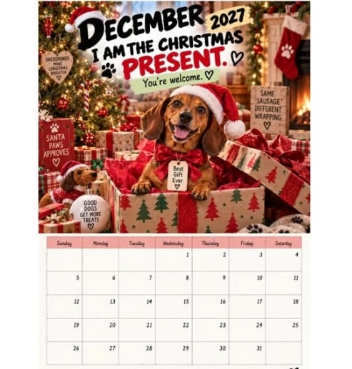 🐶2027 Funny Dachshund Wall Calendar – Sarcastic Sausage Dog Calendar, A4 Monthly Dog Lover Gift