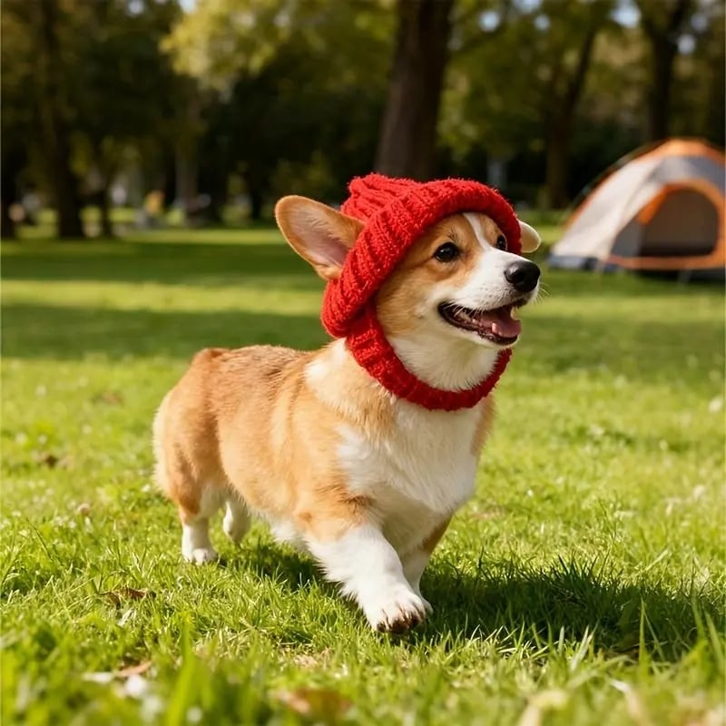 🔥🐾Red Wool Knit Dog Beanie with Ear Flaps – Warm Winter Hat