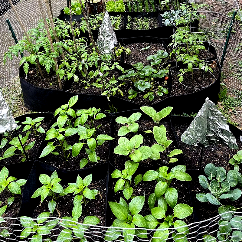 Divided Fabric Grow Bags for Plants