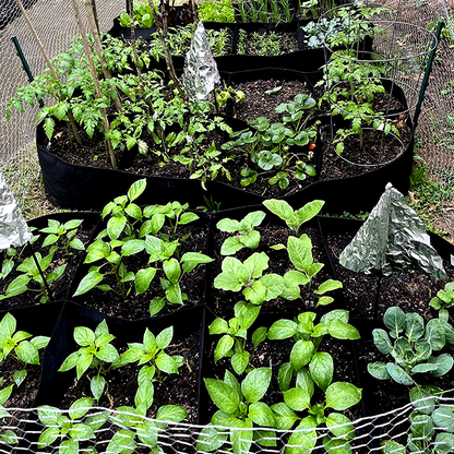 Divided Fabric Grow Bags for Plants