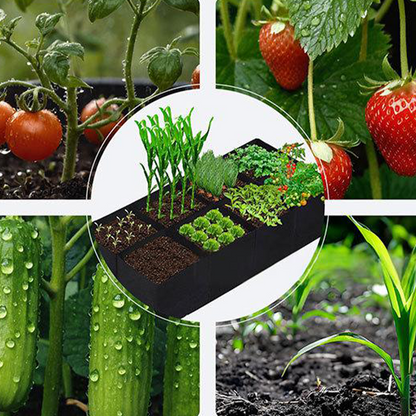 Divided Fabric Grow Bags for Plants