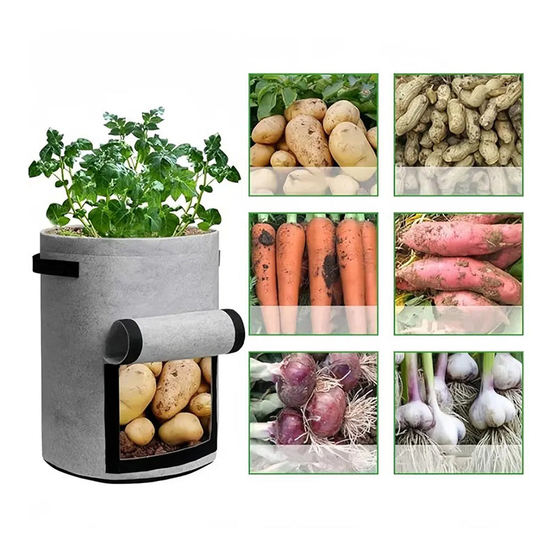 📢📢50% OFF !! ⏰Thickened Grow Bag with Handle